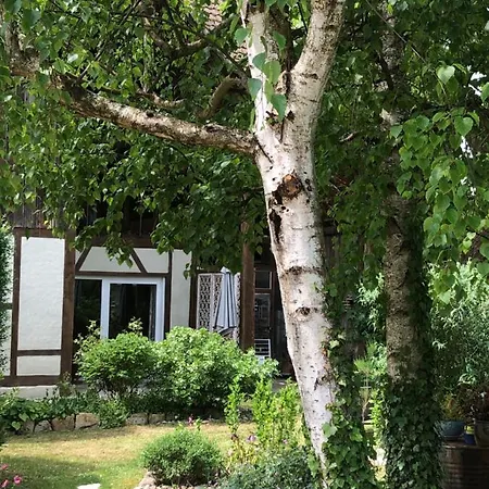 Apartment Le Sechoir Du Ried